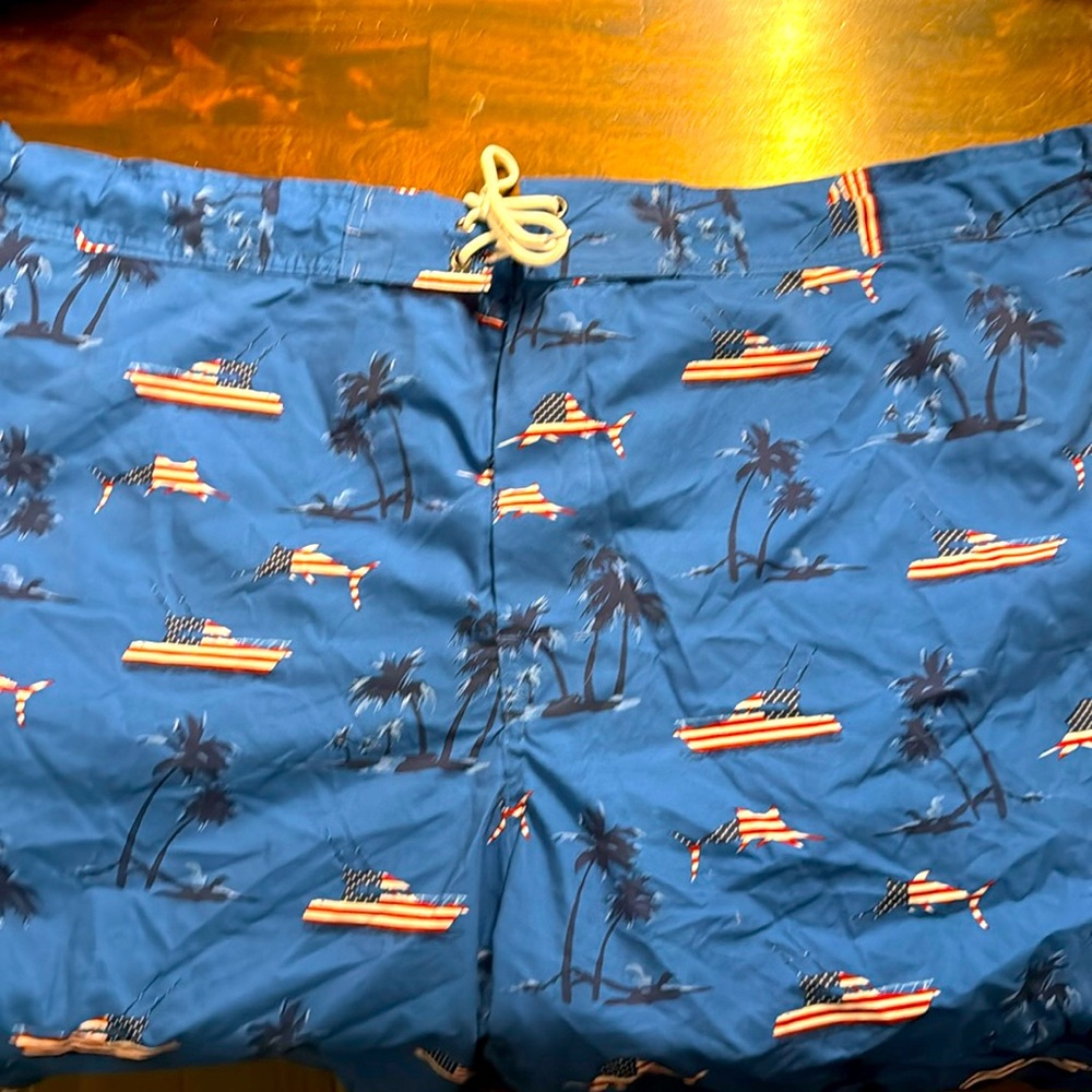 Men’s  Swim Trunks Big and Tall